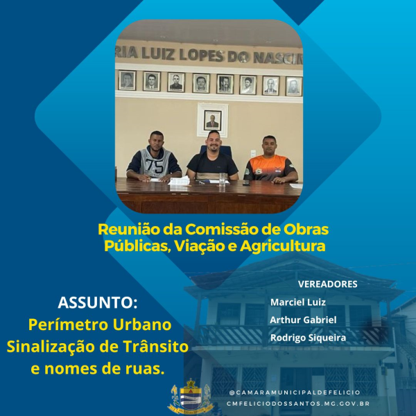REUNIÃO DA COMISSÃO DE OBRAS PÚBLICAS, VIAÇÃO E AGRICULTURA.