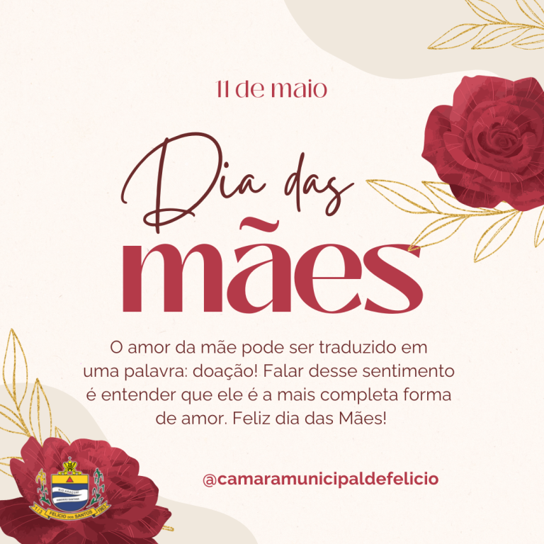 FELIZ DIA DAS MÃES