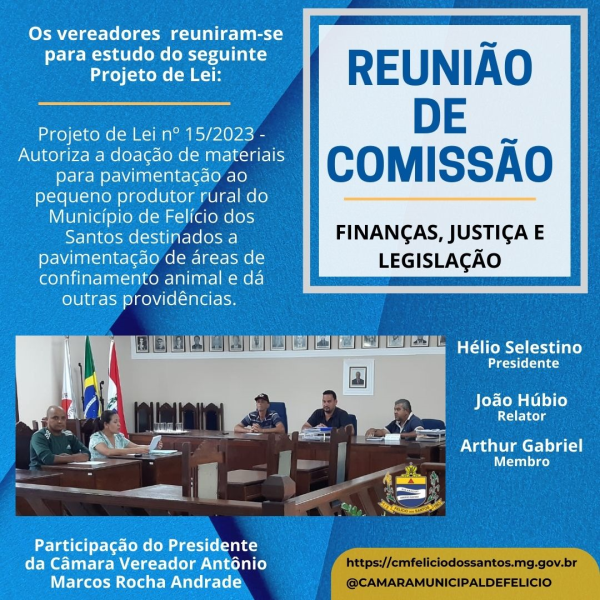 REUNIÃO DE COMISSÃO